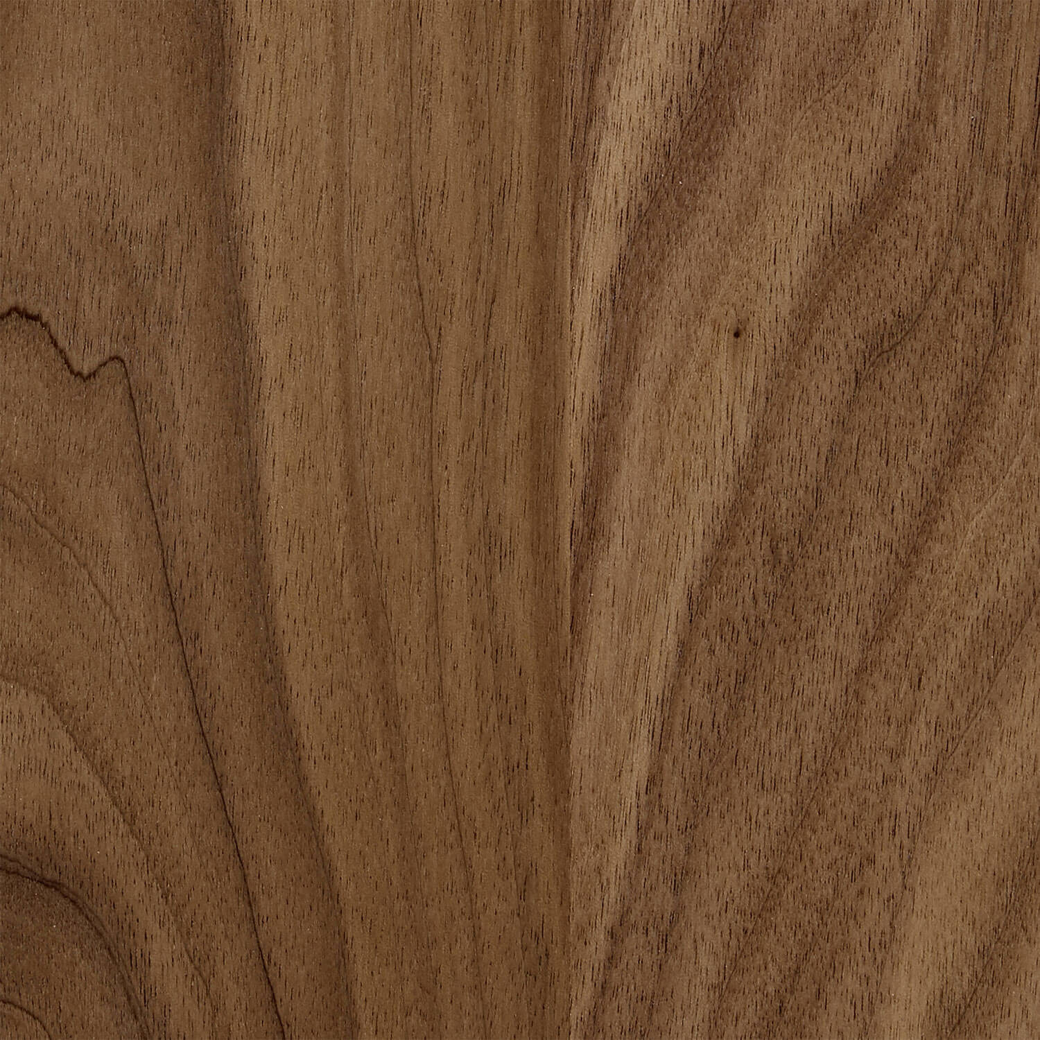 Walnut oiled