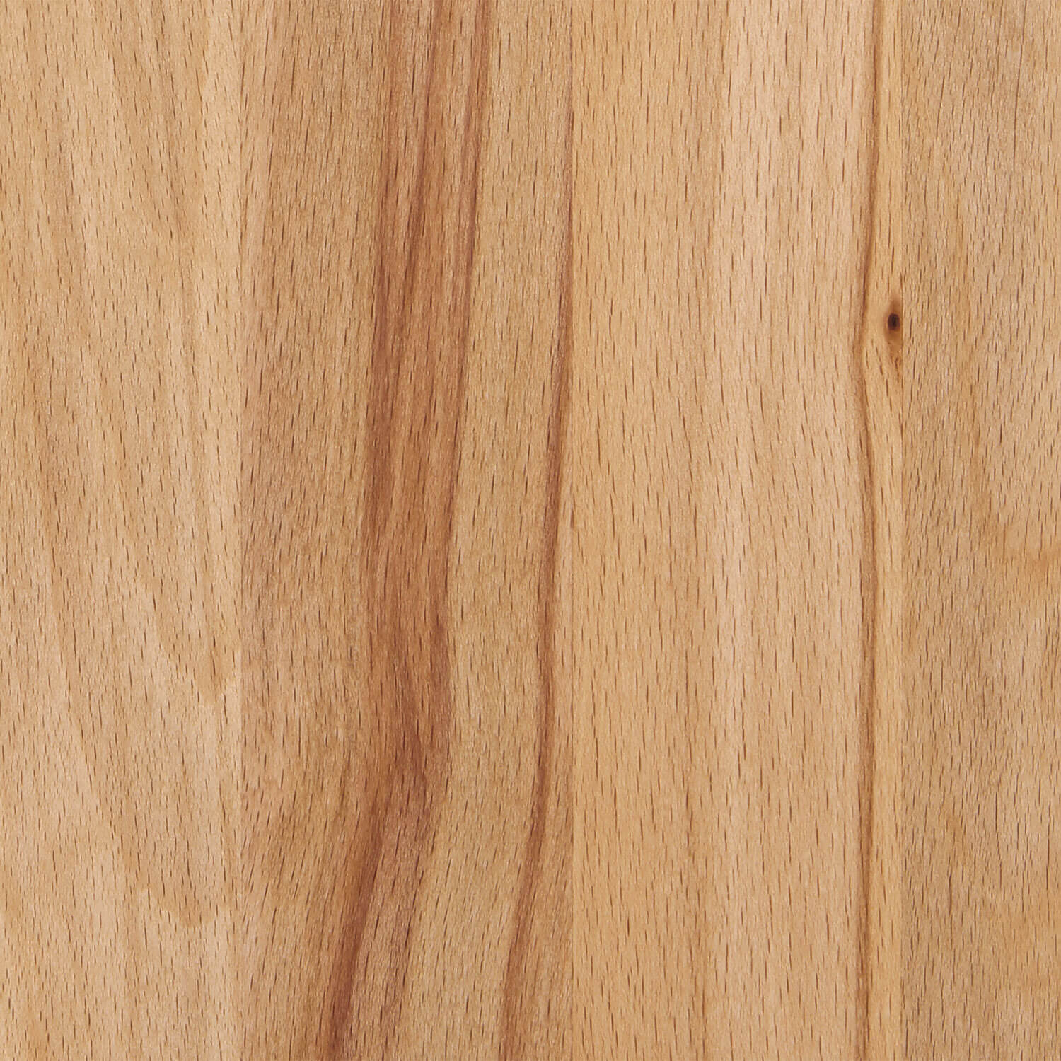 Beech oiled